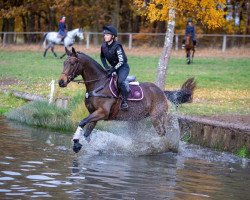 Zuchtstute Cara Luana (Trakehner, 2013, von Silvermoon)