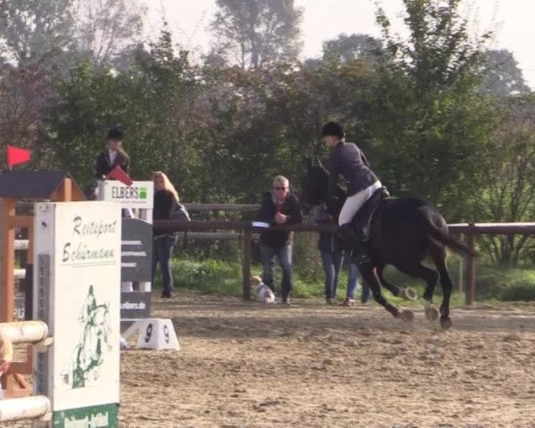 Reitstall Brinkmann 2014