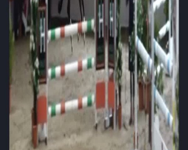 Video of Despacito Joe
