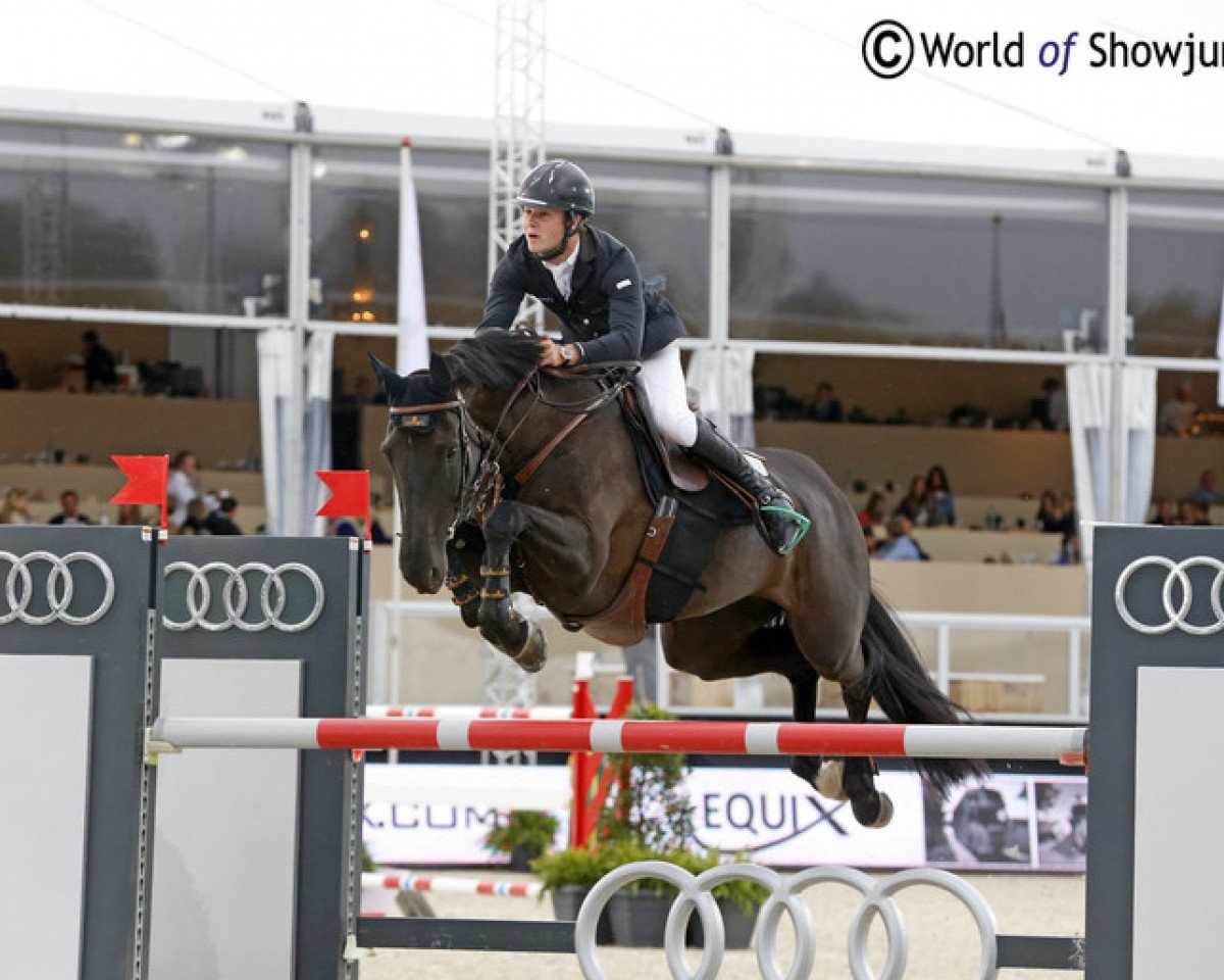 broodmare Diamanthina van het Ruytershof (Belgian Warmblood, 2003, from Diamant de Semilly)