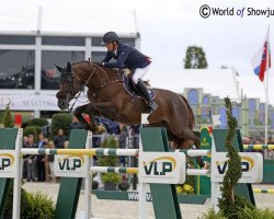 stallion Don van het Parelshof Z (Zangersheide riding horse, 2004, from Diamant de Semilly)