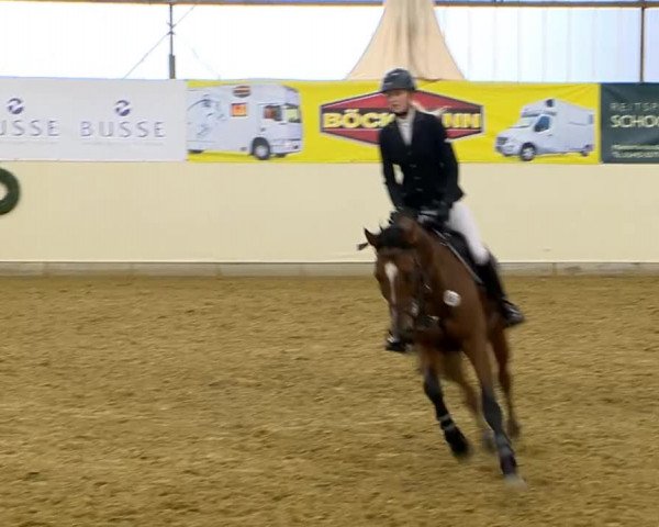 Indoor-Opening Damme 2014
