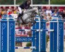 jumper Oldrock Megan (Connemara Pony, 2008, from Glenayre Silver Fox)