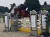 jumper Paris 104 (German Riding Pony, 2008, from Pilatus)