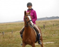 dressage horse Flippsy (German Riding Pony, 1988)