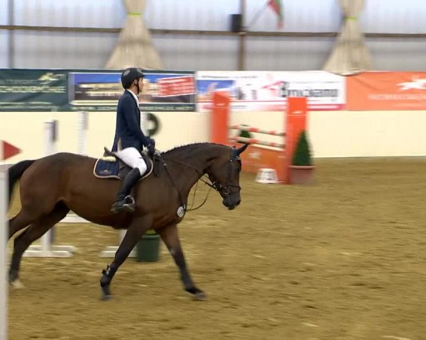 Indoor-Opening Damme 2014
