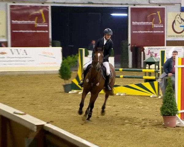 Indoor-Opening Damme 2014
