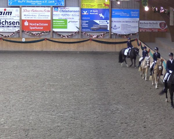 Reitturnier Leck 2021