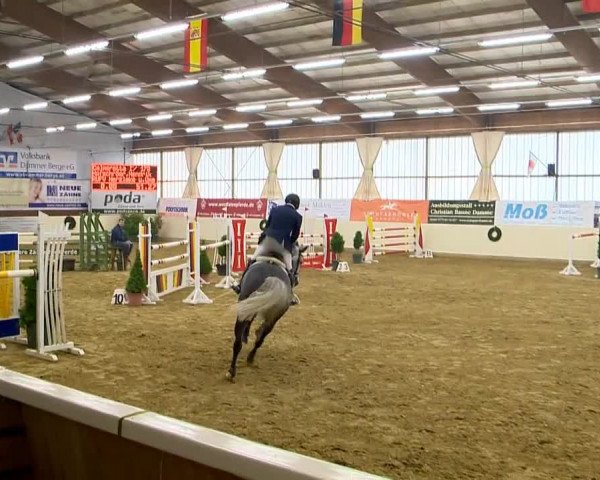 Indoor-Opening Damme 2014