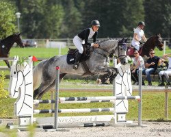 jumper Cute But Crazy (German Sport Horse, 2015, from Conturio)