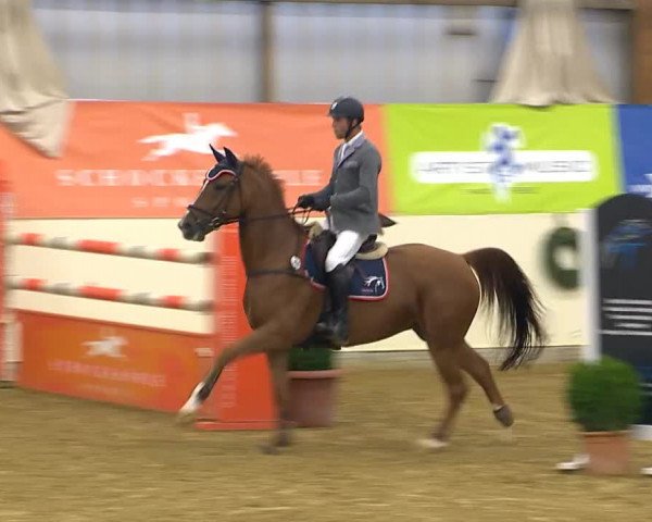 Indoor-Opening Damme 2014