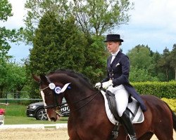 dressage horse Romy Lou K (Hannoveraner, 2006, from Rascalino)