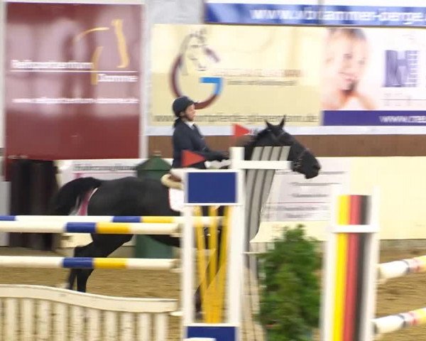 Indoor-Opening Damme 2014
