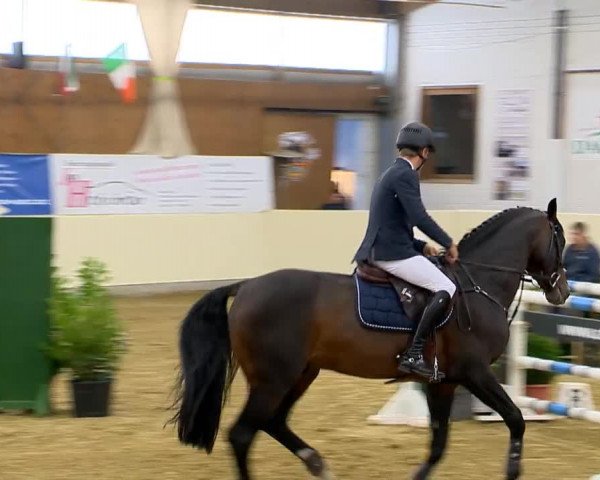 Indoor-Opening Damme 2014