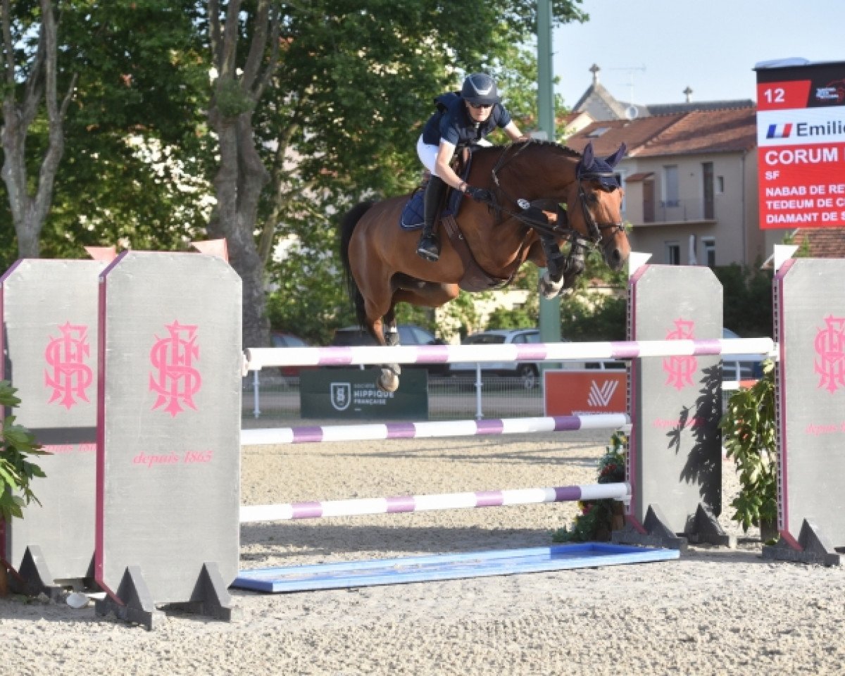 Pferd Corum de Champloue (Selle Français, 2012, von Nabab de Rêve)