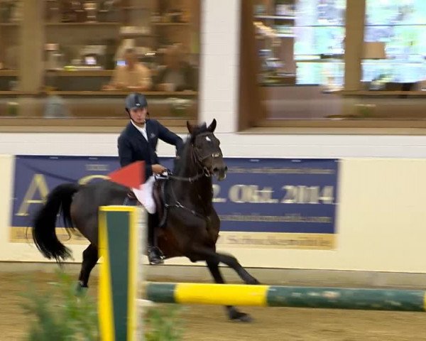 Indoor-Opening Damme 2014