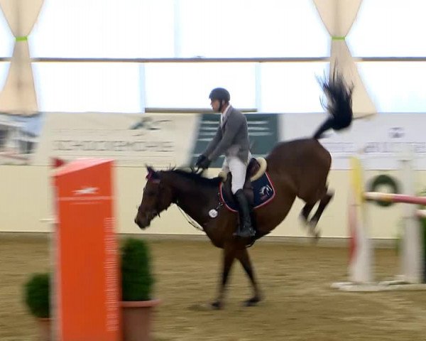 Indoor-Opening Damme 2014
