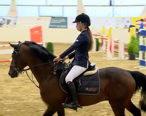 Indoor-Opening Damme 2014