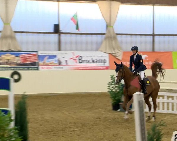 Indoor-Opening Damme 2014