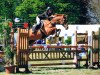 Zuchtstute Diva Fs CH (Schweizer Warmblut, 2008, von Davidoff V. Schl'Hof CH)