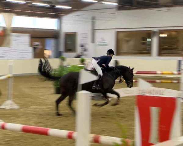 Indoor-Opening Damme 2014