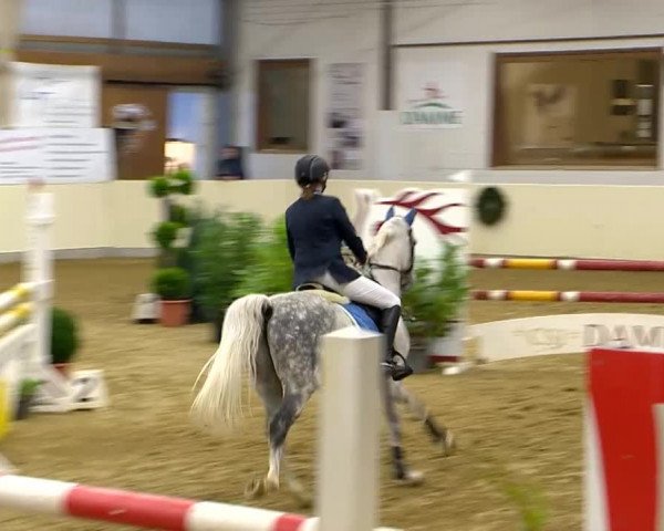 Indoor-Opening Damme 2014