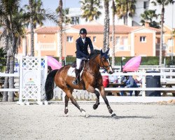 jumper Ernestine Batilly (Selle Français, 2014, from Qlassic Bois Margot)