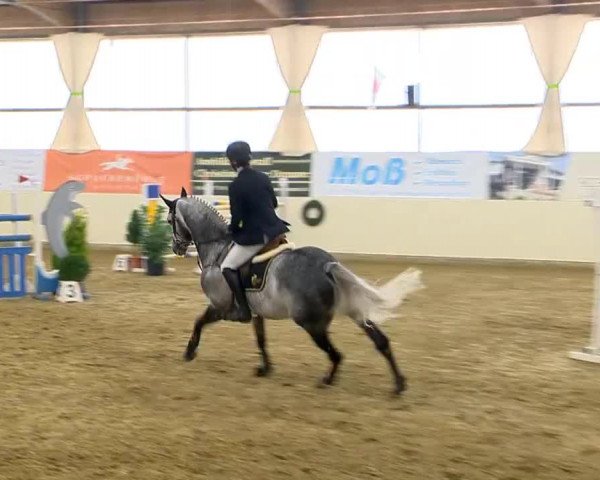 Indoor-Opening Damme 2014