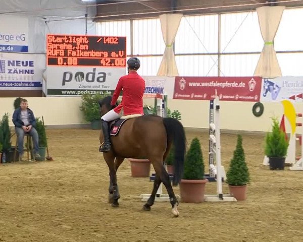 Indoor-Opening Damme 2014