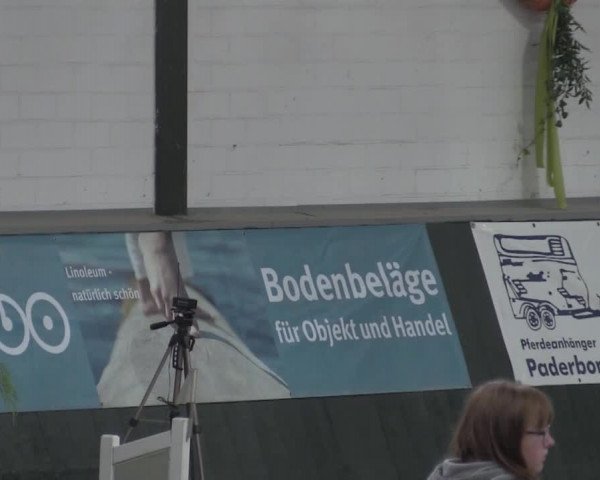 Nationales Hallenturnier Salzkotten 2014