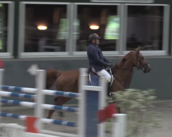 Nationales Hallenturnier Salzkotten 2014