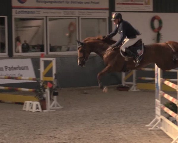 Nationales Hallenturnier Salzkotten 2014