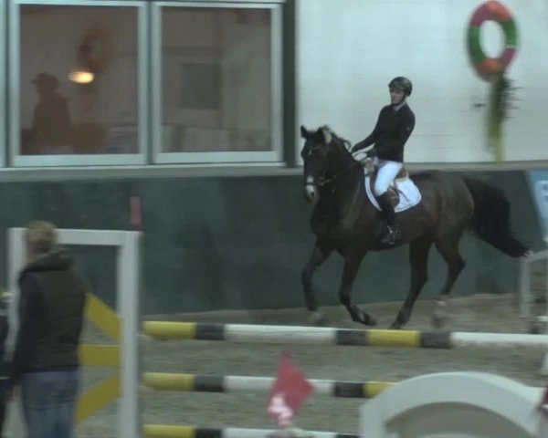 Nationales Hallenturnier Salzkotten 2014