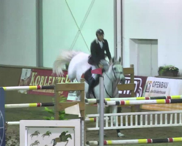 Kurtscheider Indoors 2014
