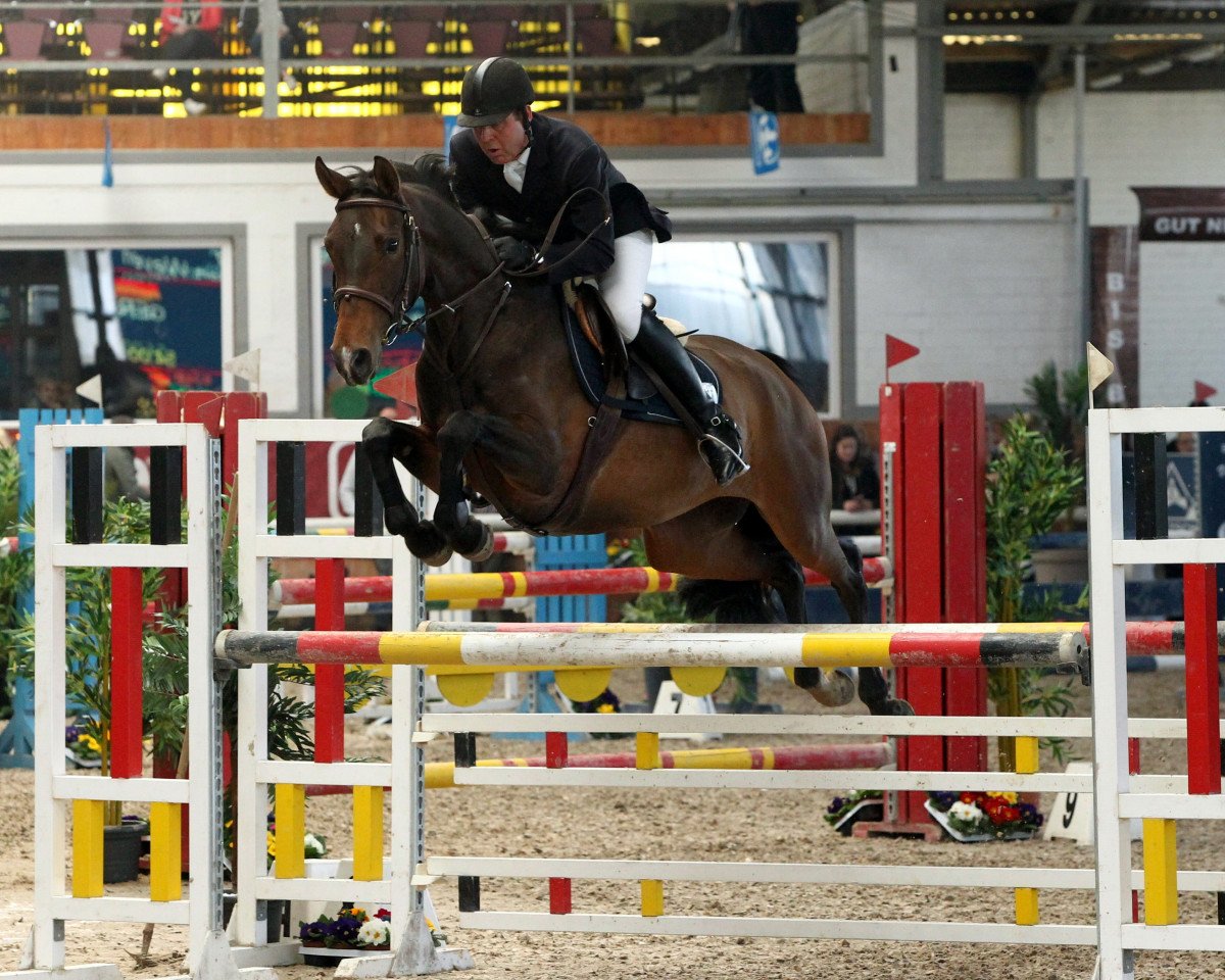 Springpferd Starluna (Hannoveraner, 2011, von Stalypso)