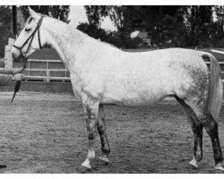 broodmare Fee (Westf) (Westphalian, 1944, from Fesch)