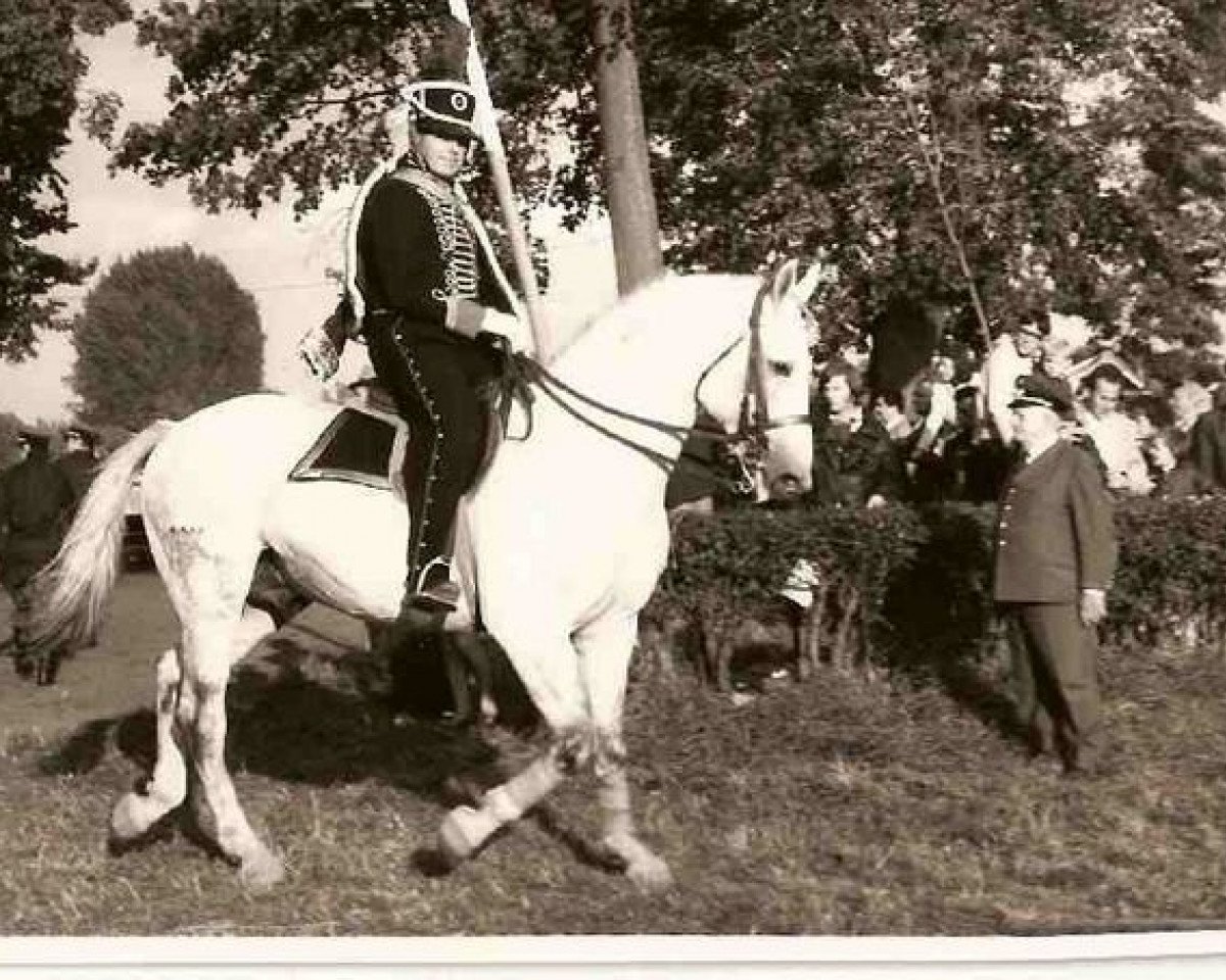 Deckhengst Minnerat (Brandenburger, 1964, von Minnesänger)