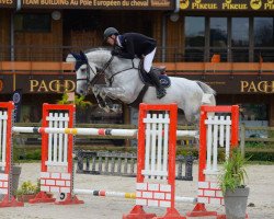 Springpferd Crunch de Troteval Z (Zangersheide Reitpferd, 2008, von Cap Kennedy)