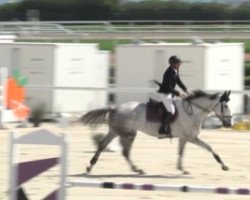 jumper Cyrano de St Priest Z (Zangersheide riding horse, 2009, from Cap Kennedy)