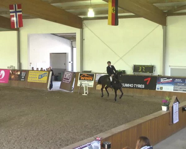 Kurtscheider Indoors 2014