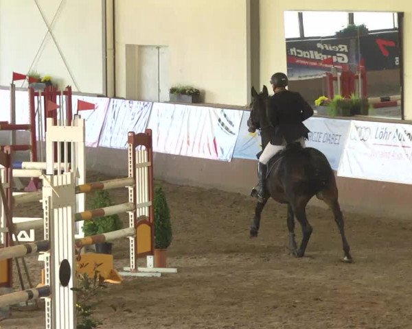 Kurtscheider Indoors 2014