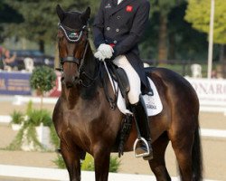 dressage horse Don Carissimo (Hanoverian, 2005, from Don Crusador)