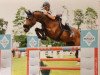 broodmare Cantura CH (Swiss Warmblood, 2006, from Canturo)