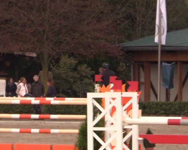 RTG Silberberghof Kreismeisterschaft 2014