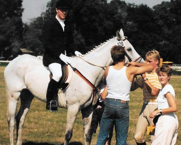Pferd Sirtaki xx (Englisches Vollblut, 1981, von Carolus xx)