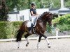 dressage horse In Person (KWPN (Royal Dutch Sporthorse), 2013, from Zack)