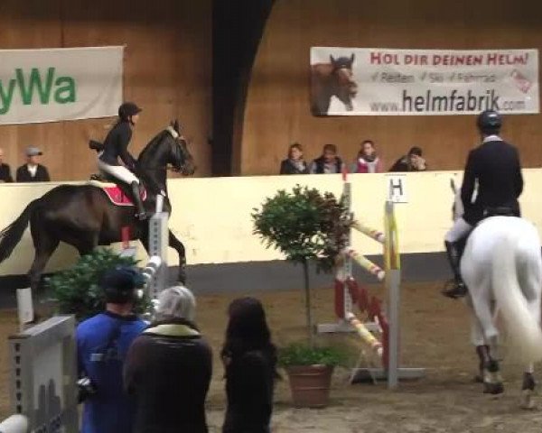 Hallenturnier Ulm/Neu-Ulm 2014