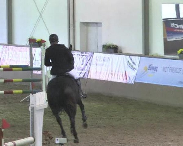 Kurtscheider Indoors 2014