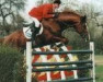 stallion Elvis (KWPN (Royal Dutch Sporthorse), 1986, from Le Mexico)