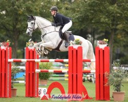 jumper Corot du Buisson Z (Zangersheide riding horse, 2007, from Calvaro Z)